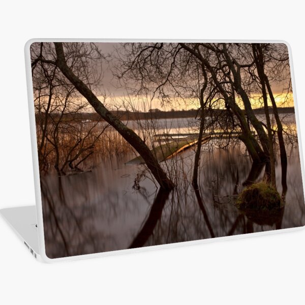 Light On The Loch Laptop Skin