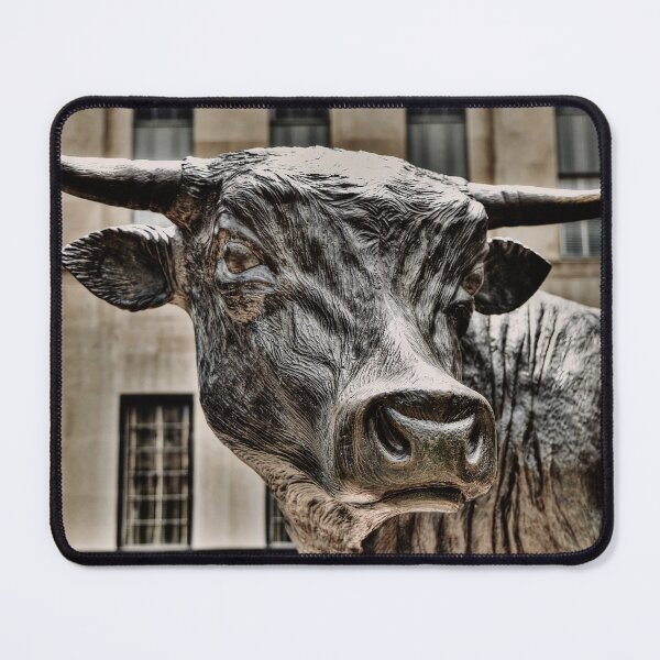 Item preview, Take No Bull, Downtown Durham North Carolina designed and sold by KEnzPhotography.