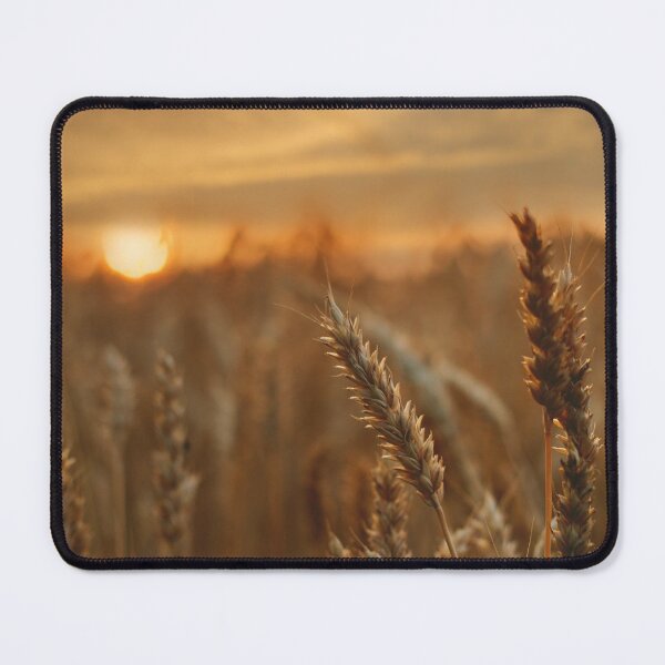 Item preview, Wheat field sunset; Samsung Galaxy Cases designed and sold by BeskrajemM.