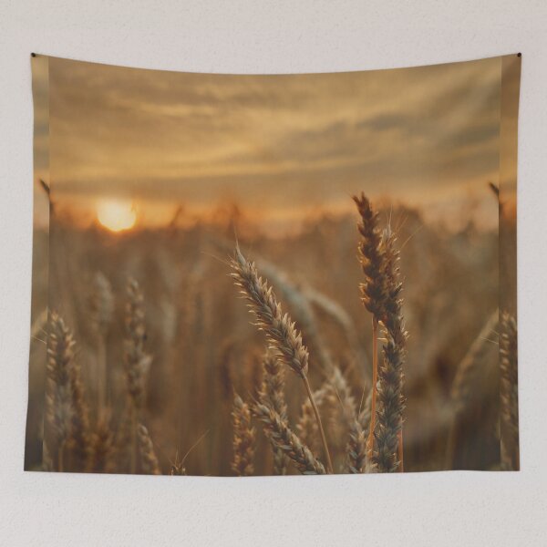 Item preview, Wheat field sunset; Samsung Galaxy Cases designed and sold by Micovic.