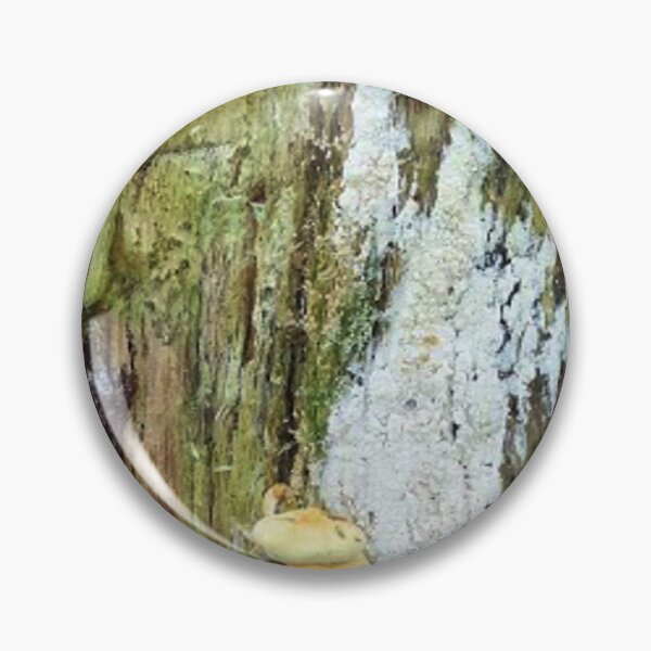 Item preview, Mushrooms on an old tree trunk designed and sold by Robert Elfferich.