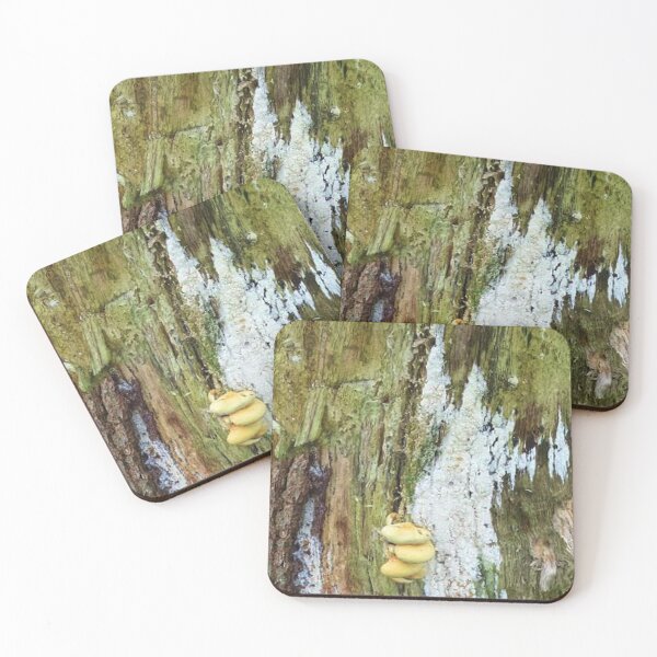 Item preview, Mushrooms on an old tree trunk designed and sold by Robert Elfferich.