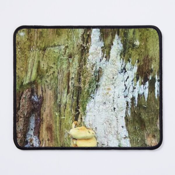 Item preview, Mushrooms on an old tree trunk designed and sold by Robert Elfferich.