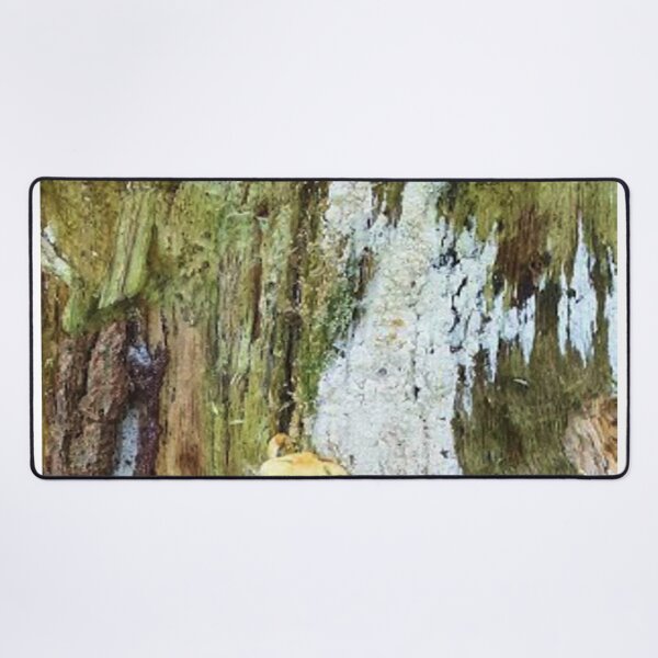 Item preview, Mushrooms on an old tree trunk designed and sold by Robert Elfferich.