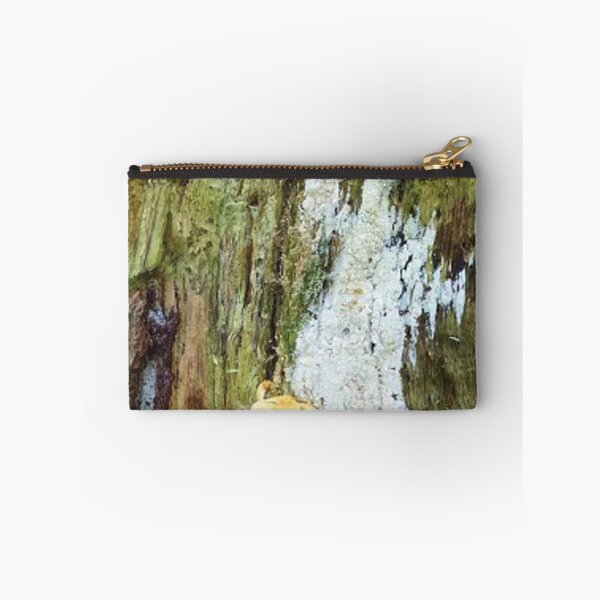 Item preview, Mushrooms on an old tree trunk designed and sold by Robert Elfferich.