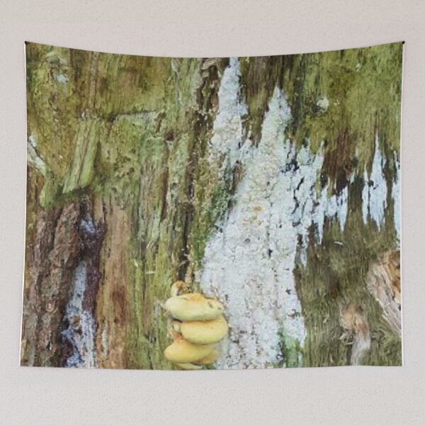 Item preview, Mushrooms on an old tree trunk designed and sold by Robert Elfferich.