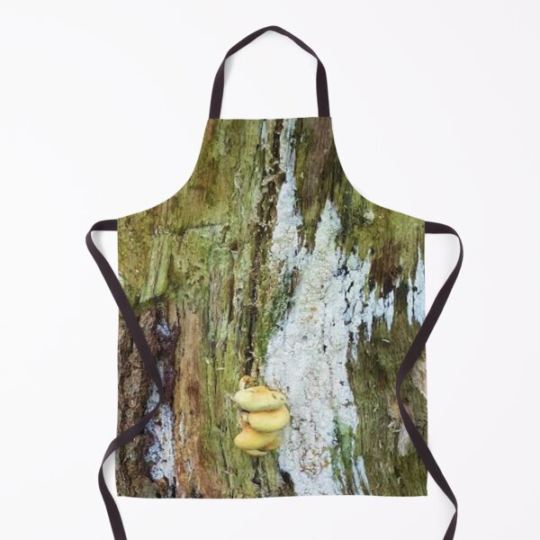 Item preview, Mushrooms on an old tree trunk designed and sold by Robert Elfferich.