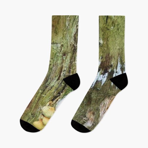 Item preview, Mushrooms on an old tree trunk designed and sold by Robert Elfferich.