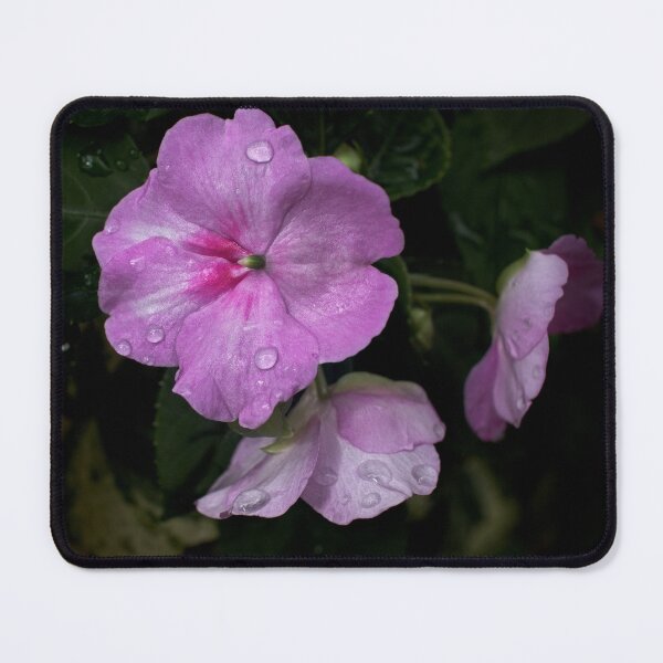 Item preview, Rainy day Impatiens designed and sold by MKP Productions.
