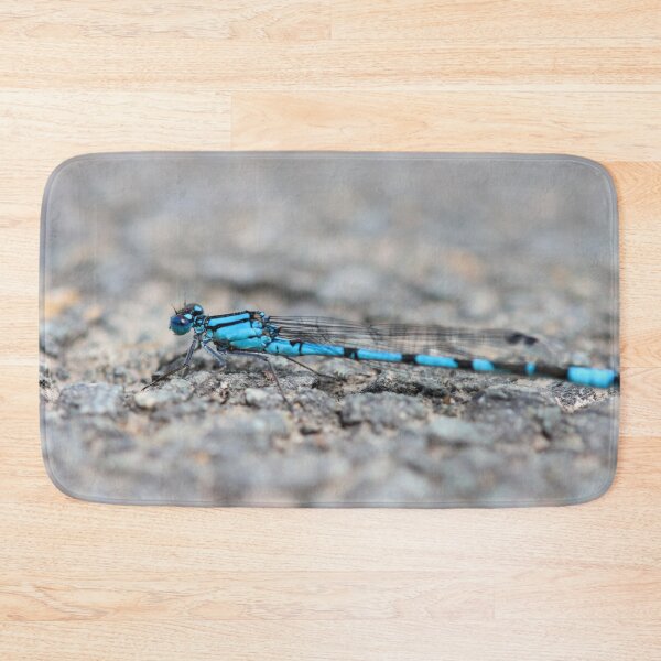 Item preview, Common blue damselfly designed and sold by GreyFeatherPhot.