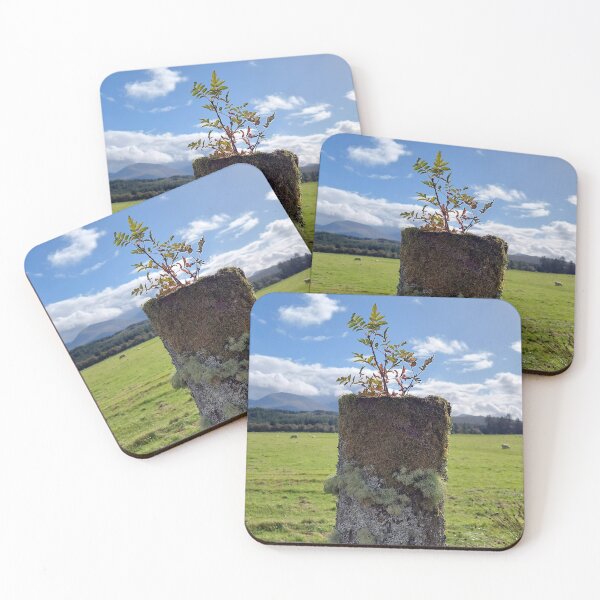 Item preview, Landscape on a Post designed and sold by daveski.
