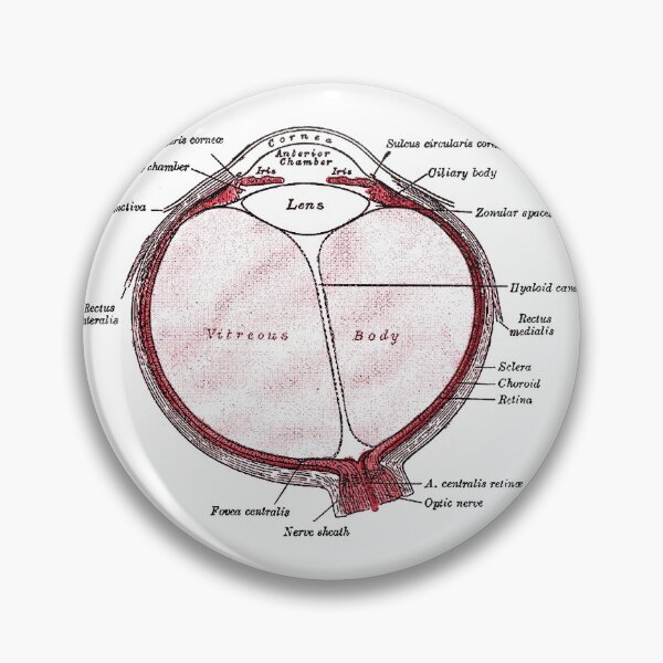 Item preview, Section of the Eye... designed and sold by timothybeighton.
