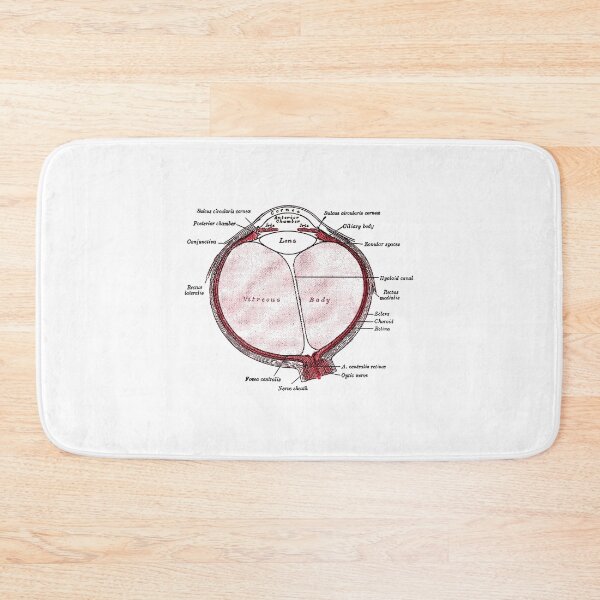 Item preview, Section of the Eye... designed and sold by timothybeighton.