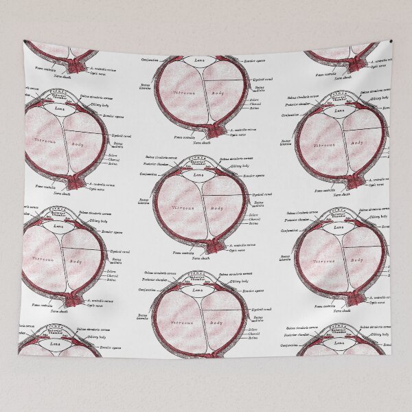 Item preview, Section of the Eye... designed and sold by timothybeighton.
