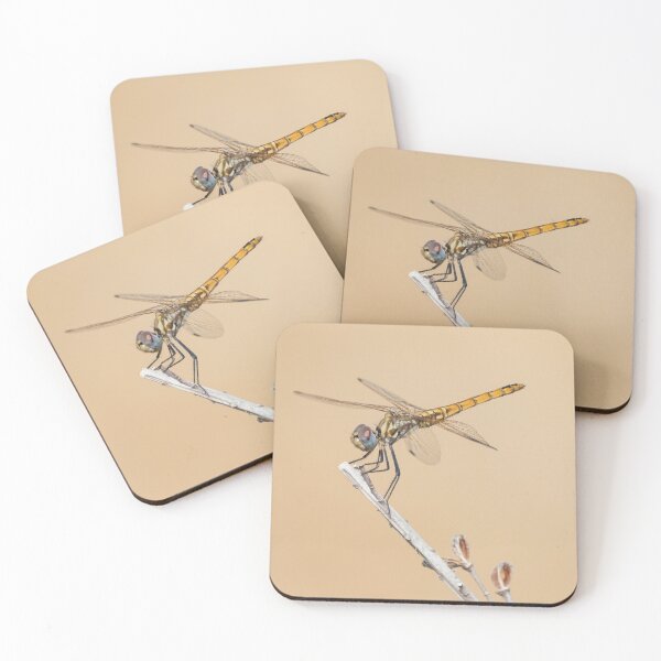 Item preview, Red Veined Darter designed and sold by LaurenTucker.