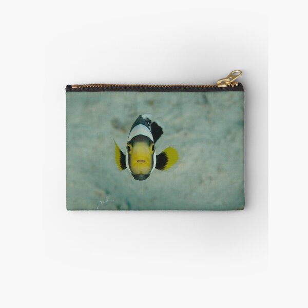 Item preview, Juvenile saddleback anemonefish - Amphiprion polymnus designed and sold by Andrew Trevor-Jones.