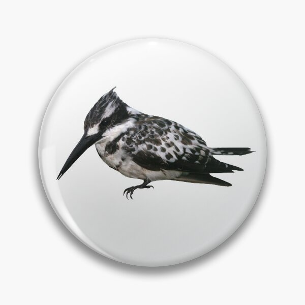 Item preview, Pied Kingfisher 3 designed and sold by quentinjlang.