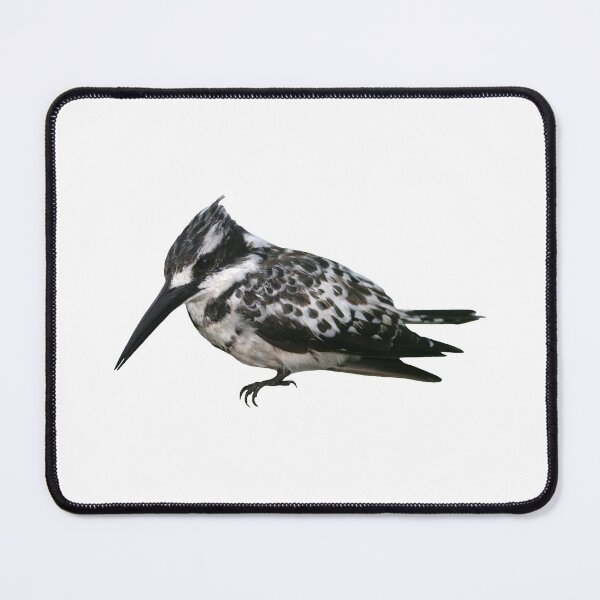 Item preview, Pied Kingfisher 3 designed and sold by quentinjlang.