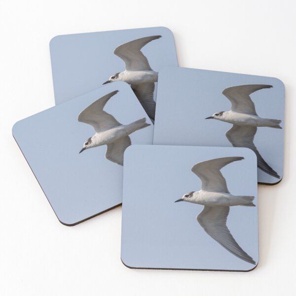 Item preview, Whiskered Tern designed and sold by LaurenTucker.