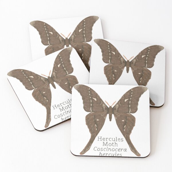 Aperçu de l'œuvre Papillon Hercule créée et vendue par WyrdandWoven.