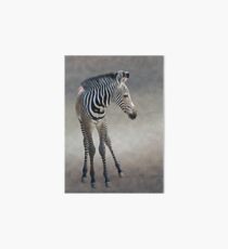 Dreams in Black and White (Grevy's Zebra) Art Board