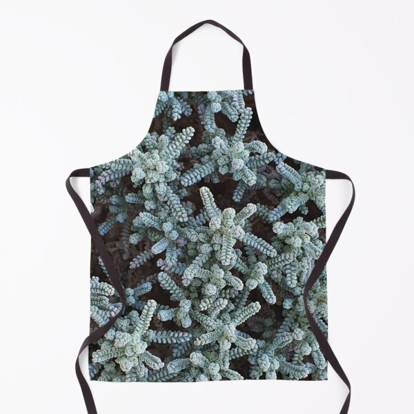 Item preview, Garden plants from Greece, Crete collection designed and sold by orangerinka.