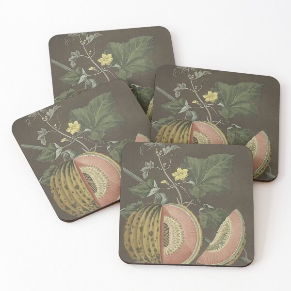 Item preview, Botanical Melon Fruit Illustration from 1812 designed and sold by LoveVintageToo.
