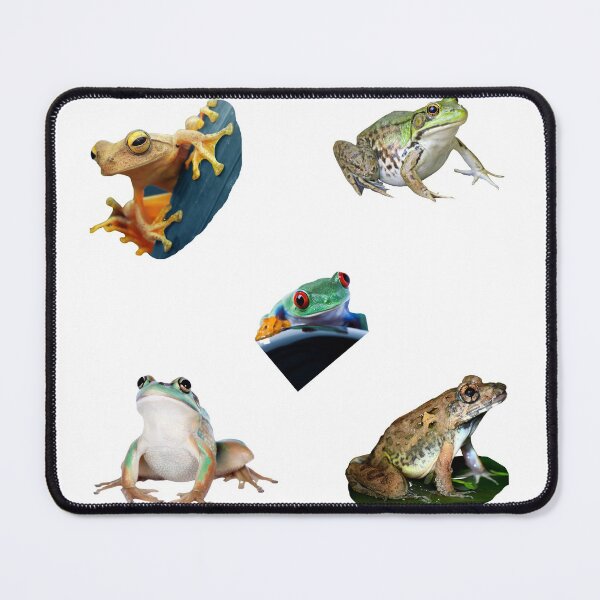 Item preview, 2nd Confused Frogs Sticker Package. Funny, Adorable Frogs And Toads For Every Frog Lover, Toad Owner, Or Amphibians Enjoyer! Not Kermit The Frog Tho, But Still An Unusually Sweet Bundle - Cute designed and sold by AnimalStickers-.