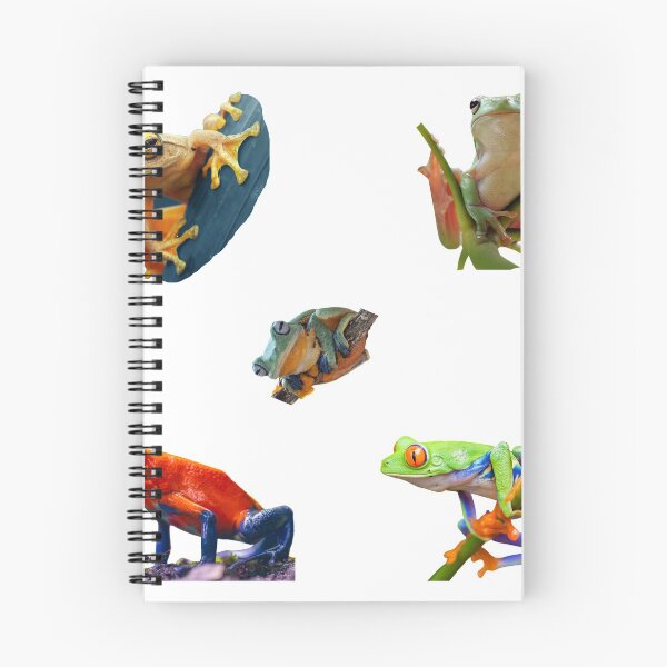 Item preview, 1st Cute Frogs Sticker Package. Funny, Adorable Frogs And Toads For Every Frog Lover, Toad Owner, Or Amphibians Enjoyer! Not Kermit The Frog Tho, But Still An Unusually Sweet Bundle - Cute designed and sold by AnimalStickers-.