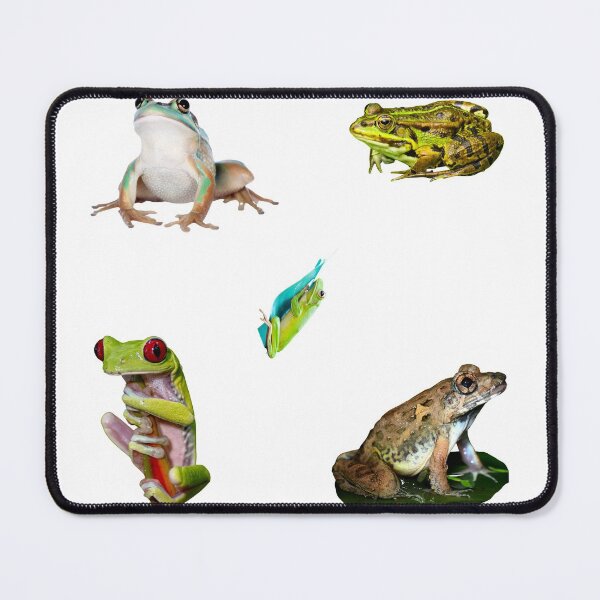Item preview, 3rd Exalting Frogs Sticker Package. Funny, Adorable Frogs And Toads For Every Frog Lover, Toad Owner, Or Amphibians Enjoyer! Not Kermit The Frog Tho, But Still An Unusually Sweet Bundle - Cute designed and sold by AnimalStickers-.