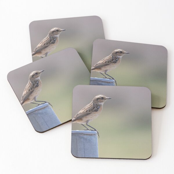 Item preview, Whinchat designed and sold by LaurenTucker.