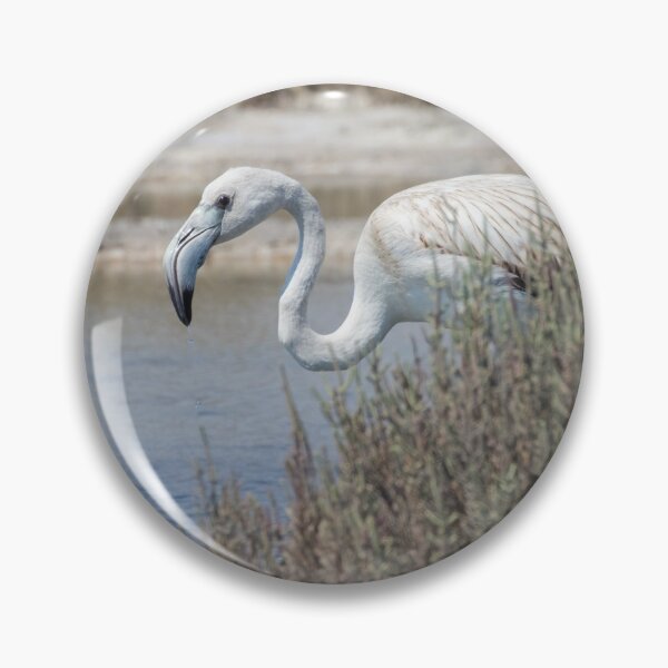 Item preview, Greater Flamingo designed and sold by LaurenTucker.