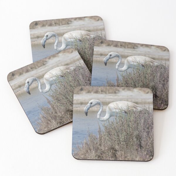 Item preview, Greater Flamingo designed and sold by LaurenTucker.
