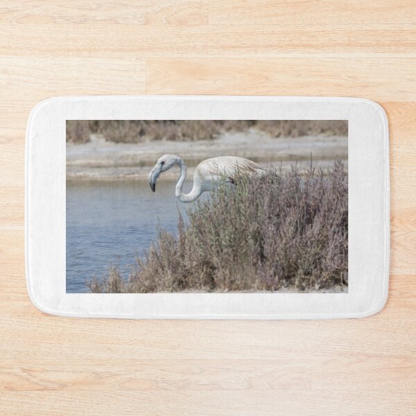 Item preview, Greater Flamingo designed and sold by LaurenTucker.