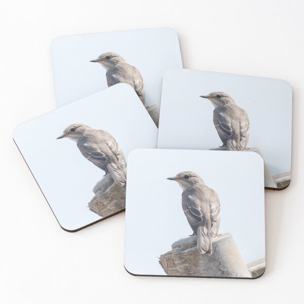 Item preview, Spotted Flycatcher designed and sold by LaurenTucker.