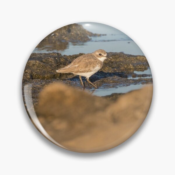 Item preview, Greater Sand Plover designed and sold by LaurenTucker.