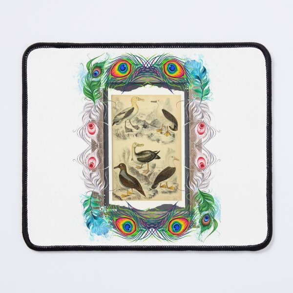 Item preview, Zoological board "Albatrosses". designed and sold by AdvanceDesign.