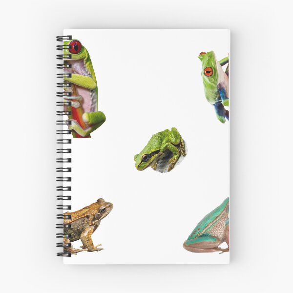 Item preview, 3rd Smiling Frogs Sticker Package. Funny, Adorable Frogs And Toads For Every Frog Lover, Toad Owner, Or Amphibians Enjoyer! Not Kermit The Frog Tho, But Still An Unusually Sweet Bundle - Cute designed and sold by AnimalStickers-.