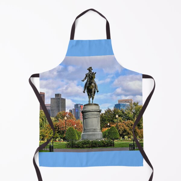 Item preview, Boston Common designed and sold by DJ Florek.