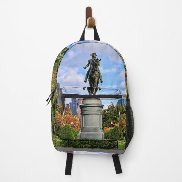 Item preview, Boston Common designed and sold by DJ Florek.
