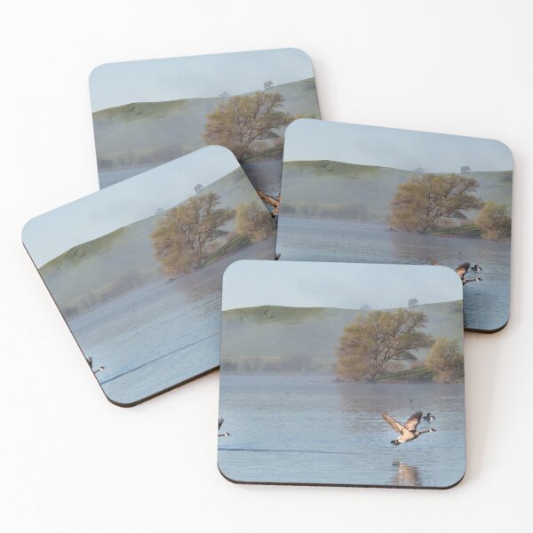 Item preview, Two geese in flight at Lagoon Valley Park in Vacaville, California.  designed and sold by 2Canons.