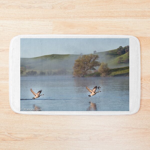 Item preview, Two geese in flight at Lagoon Valley Park in Vacaville, California.  designed and sold by 2Canons.