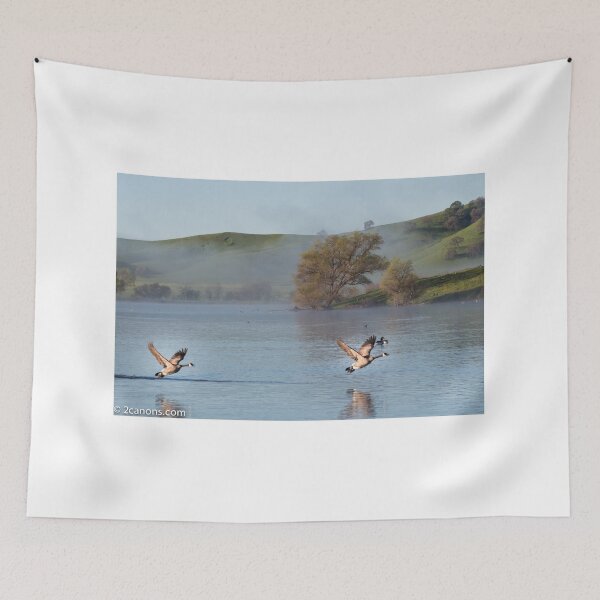 Item preview, Two geese in flight at Lagoon Valley Park in Vacaville, California.  designed and sold by 2Canons.
