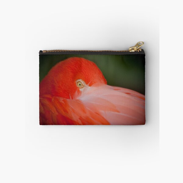 Artikelvorschau, Lone Caribbean Flamingo entworfen und verkauft von michaelpartis.