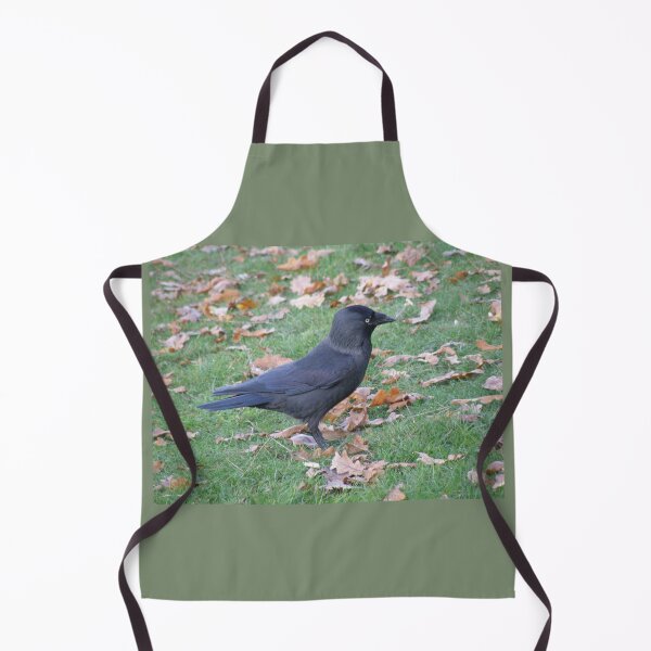 Item preview, Cheeky Little Jackdaw Photograph designed and sold by naturegallery.