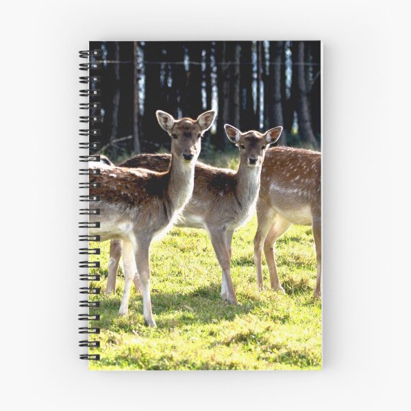 Item preview, Fallow deer / Daniel  (Dama dama)  ♀ designed and sold by MarekM.