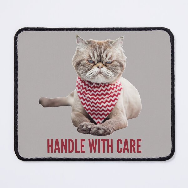 Item preview, Handle With Care. Very Salty Cat! Photo, text designed and sold by JellyBeenzz.