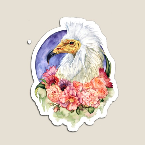 Egyptian Vulture Magnet