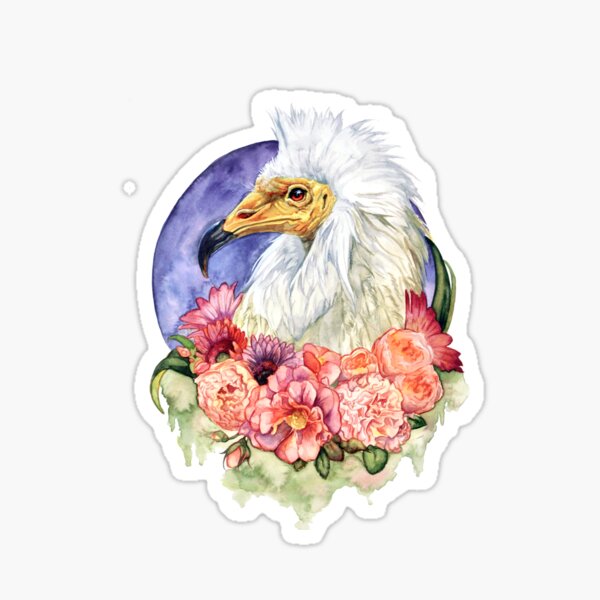 Egyptian Vulture Sticker