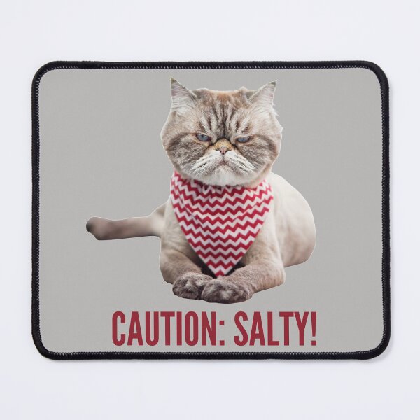 Item preview, Caution: Salty! One Very Salty Cat! Photo, text designed and sold by JellyBeenzz.